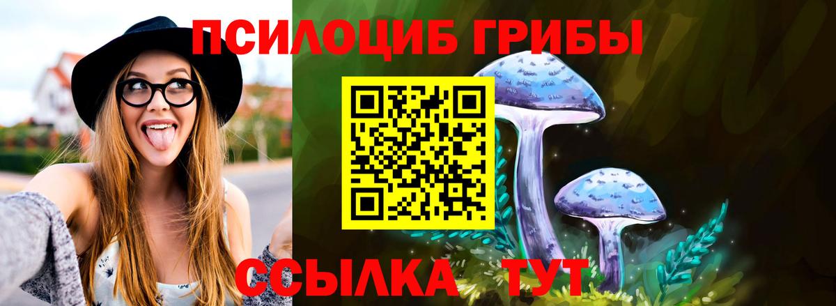 Псилоцибиновые грибы мухоморы  Псилоцибиновые грибы прущие грибы  Бугульма  Вход с VPN 