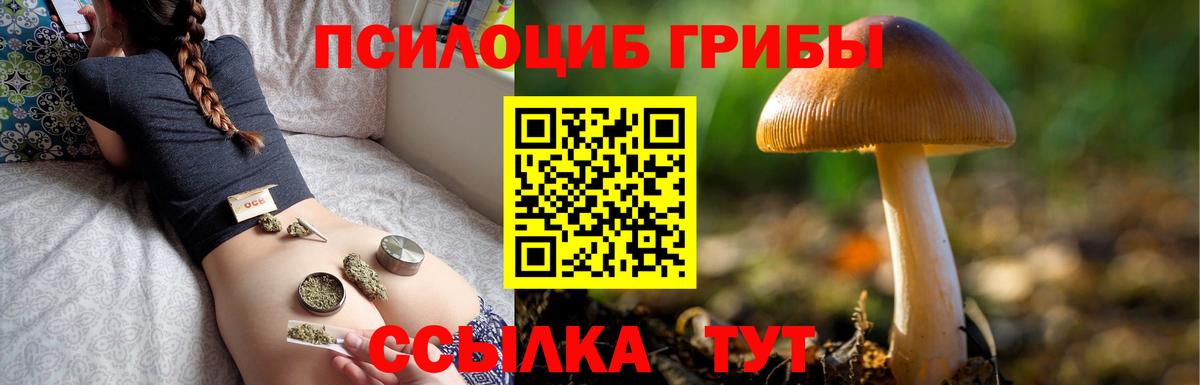 Галлюциногенные грибы GOLDEN TEACHER Бугульма